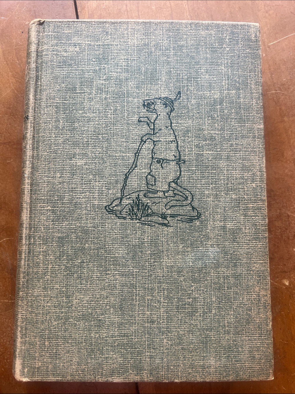 💚Billy Mink -Vintage Hardcover Book